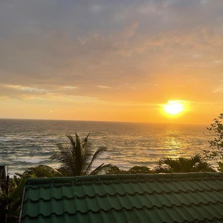 Villa Rasta - Ocean View Bungalows Port Antonio Exterior foto